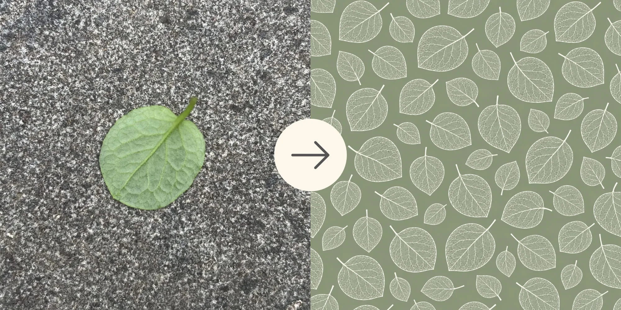A single leaf found during an afternoon walk